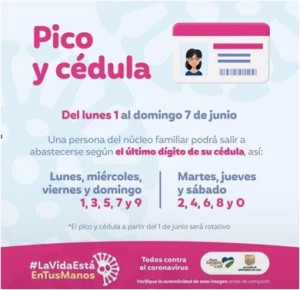 pico-cedula-07-06-2020