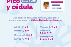 pico-cedula-2020