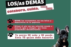 PB-Circular_Mascotas-12092024