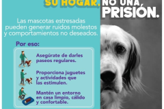 PB-Mascotas-072024.jpg