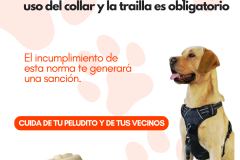 PB-Circular_Mascotas-17062025