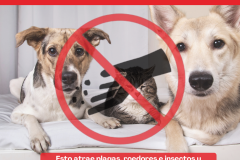 PB-Circular_Prohibido-Comida-Mascotas-24062025